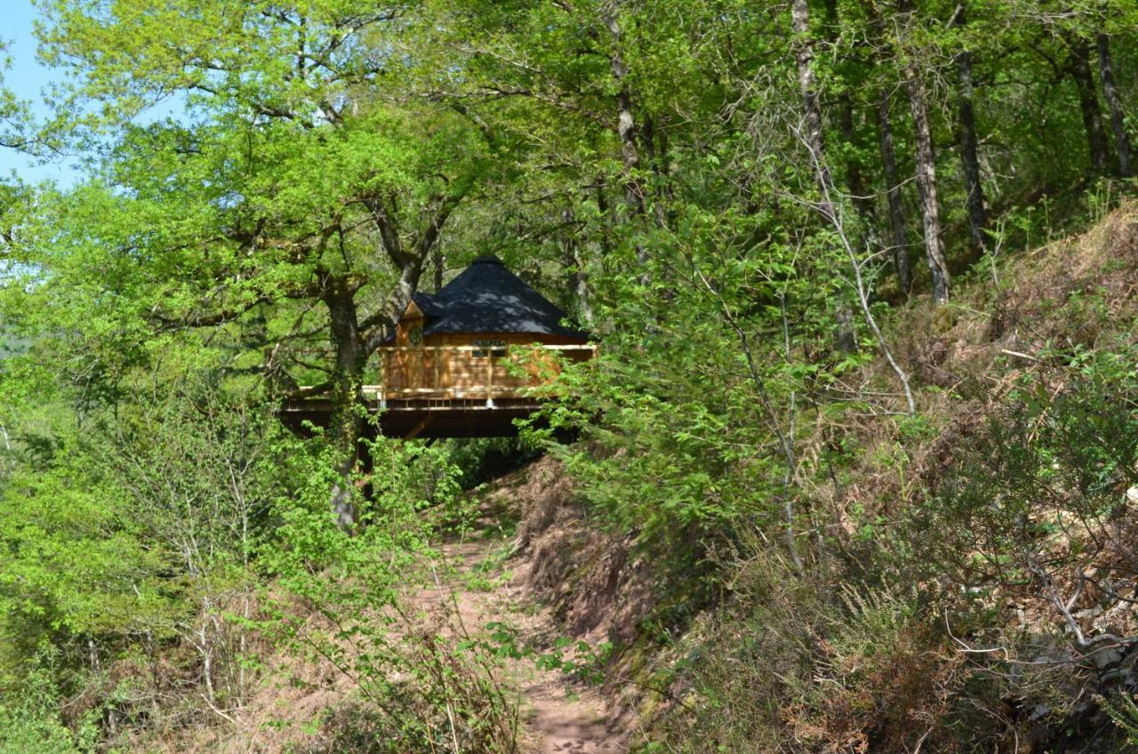 Ma Cabane En Aveyron Conques-en-Rouergue Exteriér fotografie